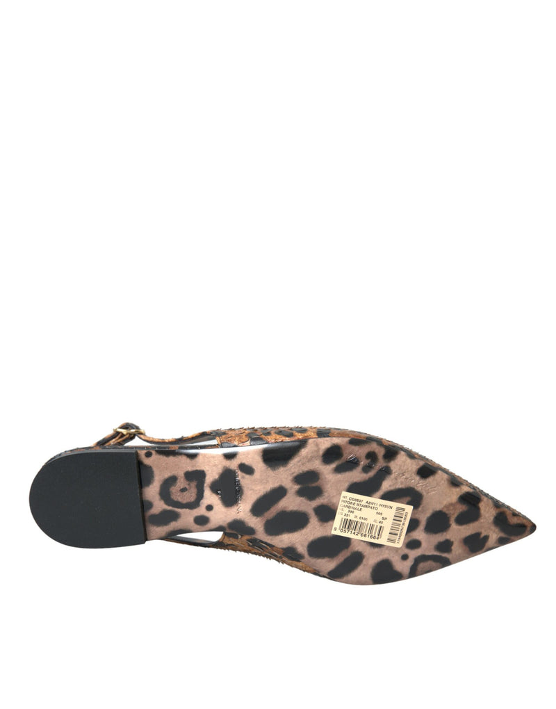 Brown Leopard Exotic Skin Slingback Shoes Dolce & Gabbana