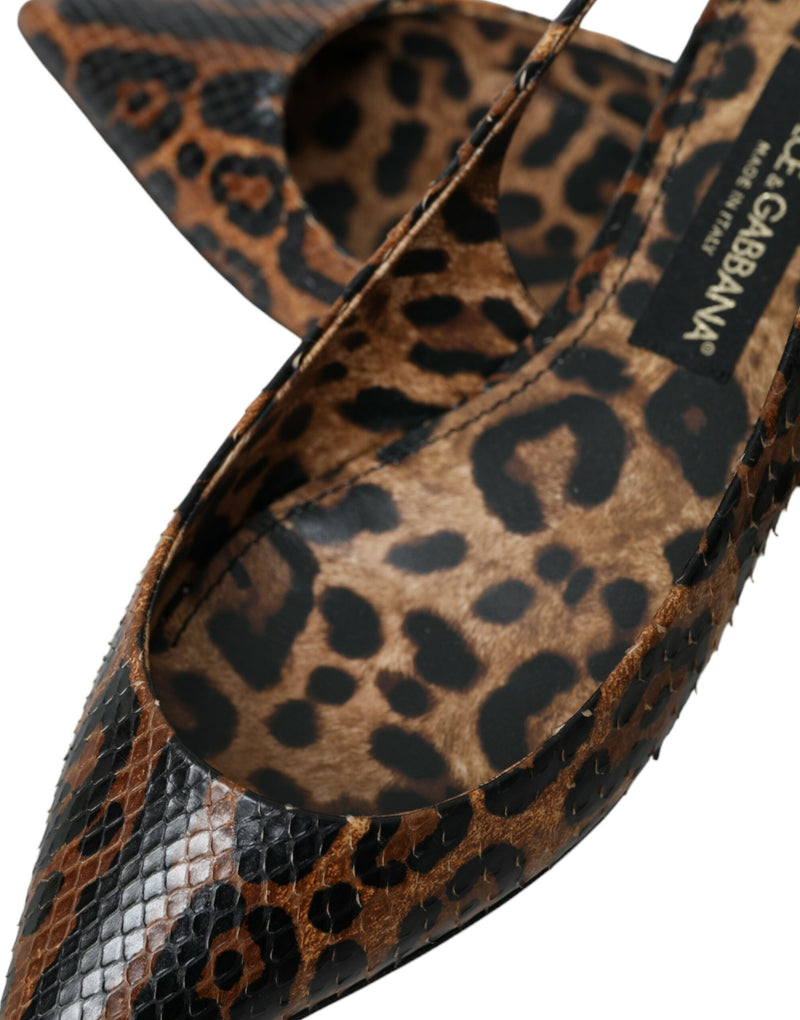 Brown Leopard Exotic Skin Slingback Shoes Dolce & Gabbana