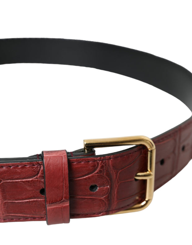 Brown Alligator Leather Studded Metal Buckle Belt Dolce & Gabbana