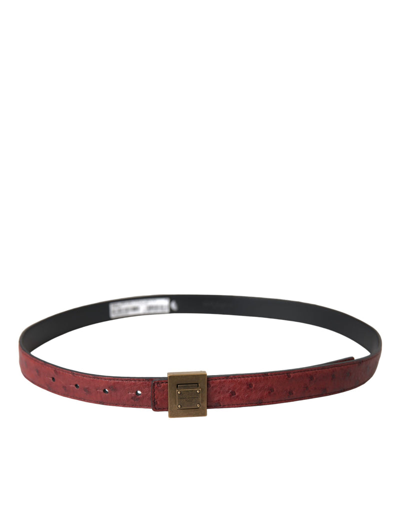 Brown Leather Square Metal Buckle Belt Dolce & Gabbana