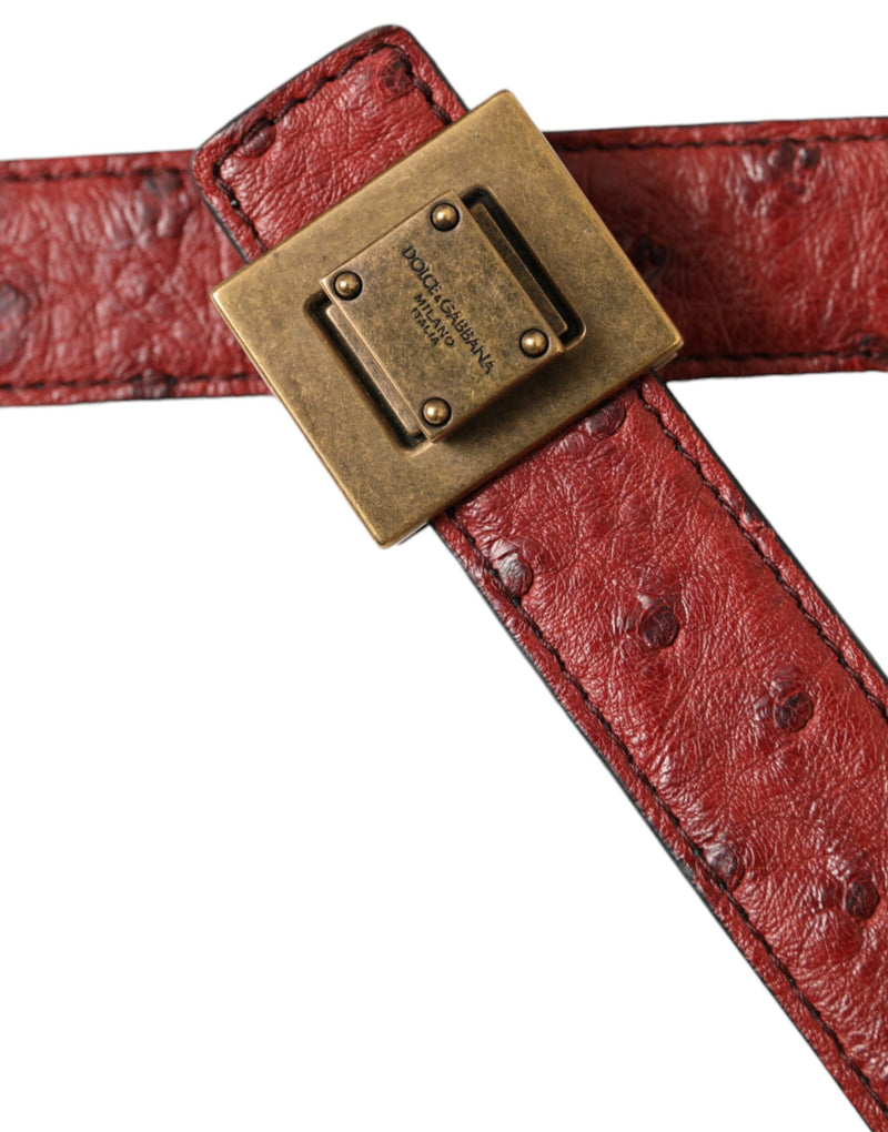 Brown Leather Square Metal Buckle Belt Dolce & Gabbana