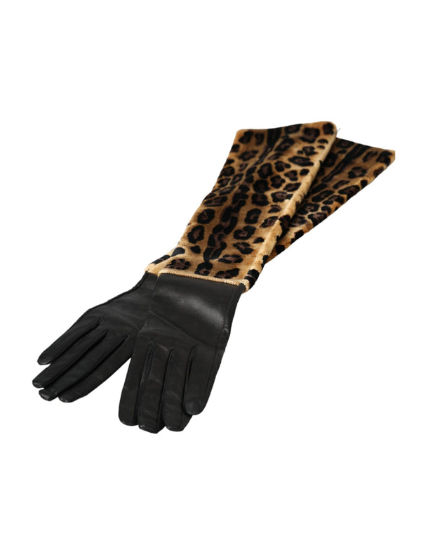 Brown Black Leopard Leather Elbow Length Gloves Dolce & Gabbana