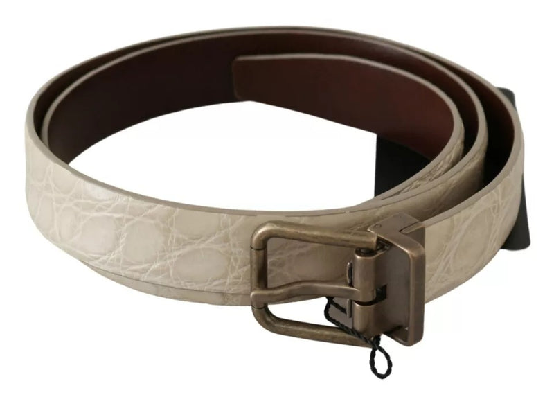 Cream Beige Gold Buckle Waist Leather Belt Dolce & Gabbana