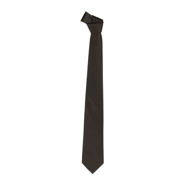 Silk Point Pin Tie in Luxurious Brown Emilio Romanelli