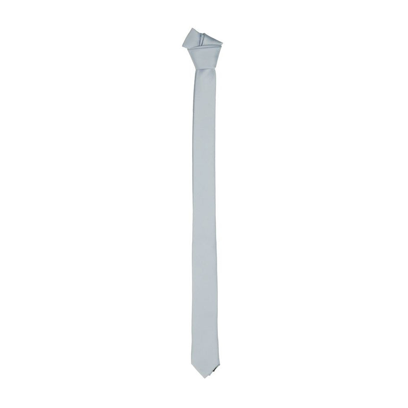 Sleek Silk Slim Tie in Chic Gray Emilio Romanelli