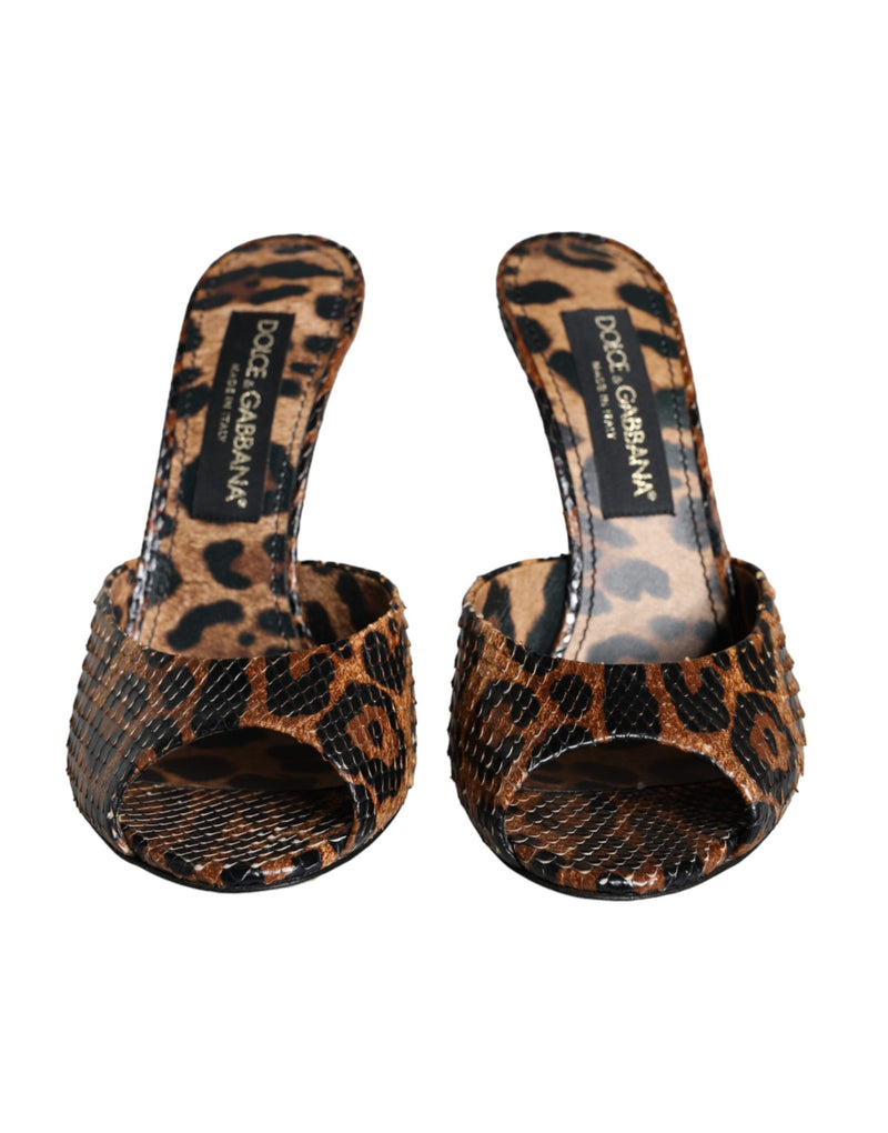 Brown Leopard Leather Slides Heels Sandals Shoes Dolce & Gabbana