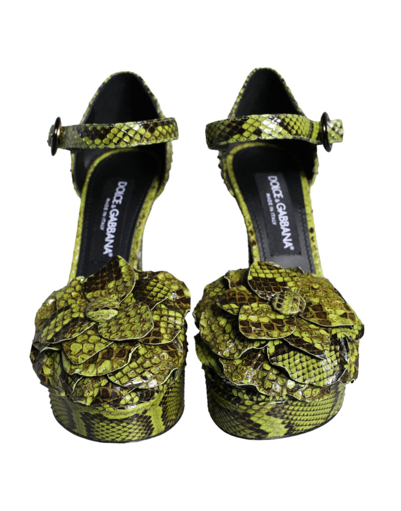 Green Exotic Leather Ankle Strap Heels Sandals Shoes Dolce & Gabbana