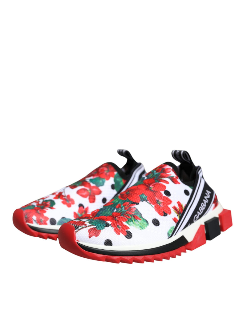 Multicolor Geranium Sorrento Sneakers Shoes Dolce & Gabbana