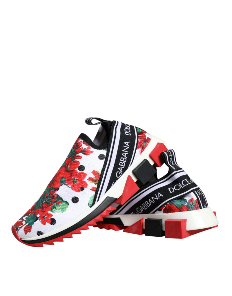 Multicolor Geranium Sorrento Sneakers Shoes Dolce & Gabbana