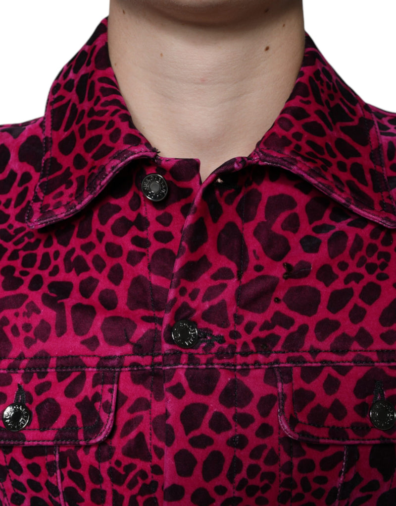 Fuchsia Leopard Button Down Collared Jacket Dolce & Gabbana