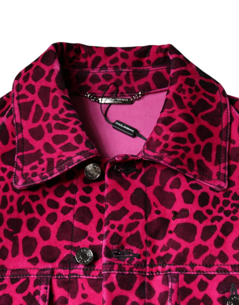 Fuchsia Leopard Button Down Collared Jacket Dolce & Gabbana