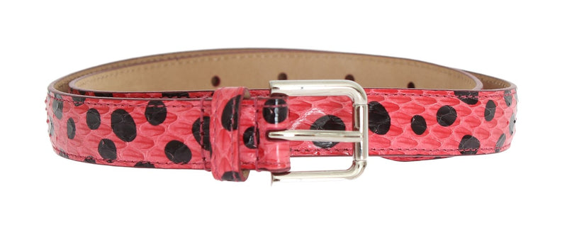 Polka Dot Snakeskin Belt with Silver Buckle Dolce & Gabbana