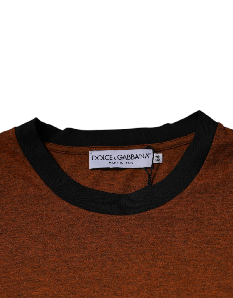 Brown DG Logo Cotton Crew Neck T-shirt Dolce & Gabbana