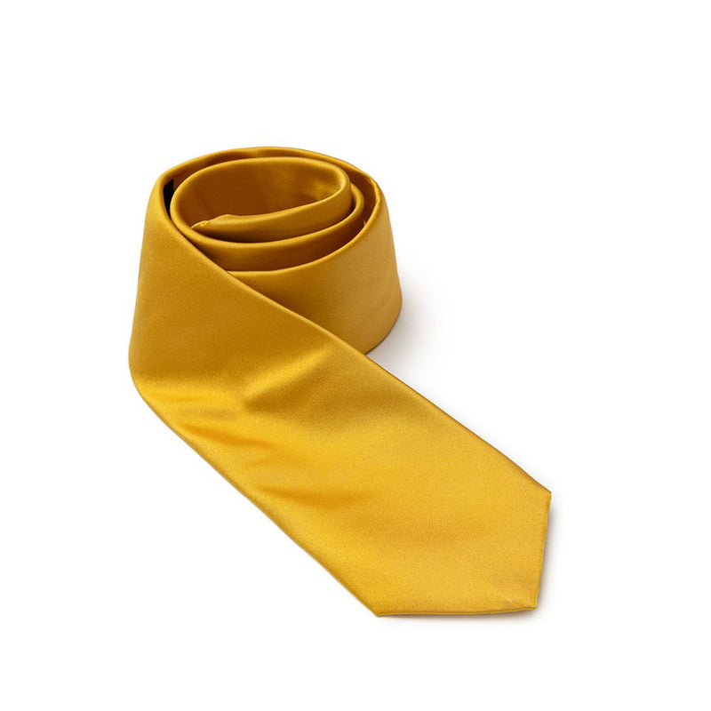 Gold Silk Ties & Bowty Dolce & Gabbana