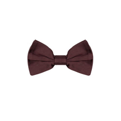 Burgundy Silk Ties & Bowty Dolce & Gabbana