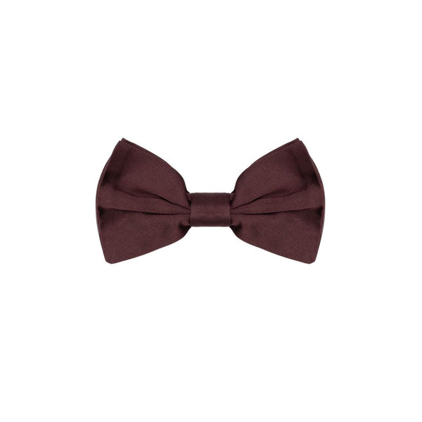 Burgundy Silk Ties & Bowty Dolce & Gabbana