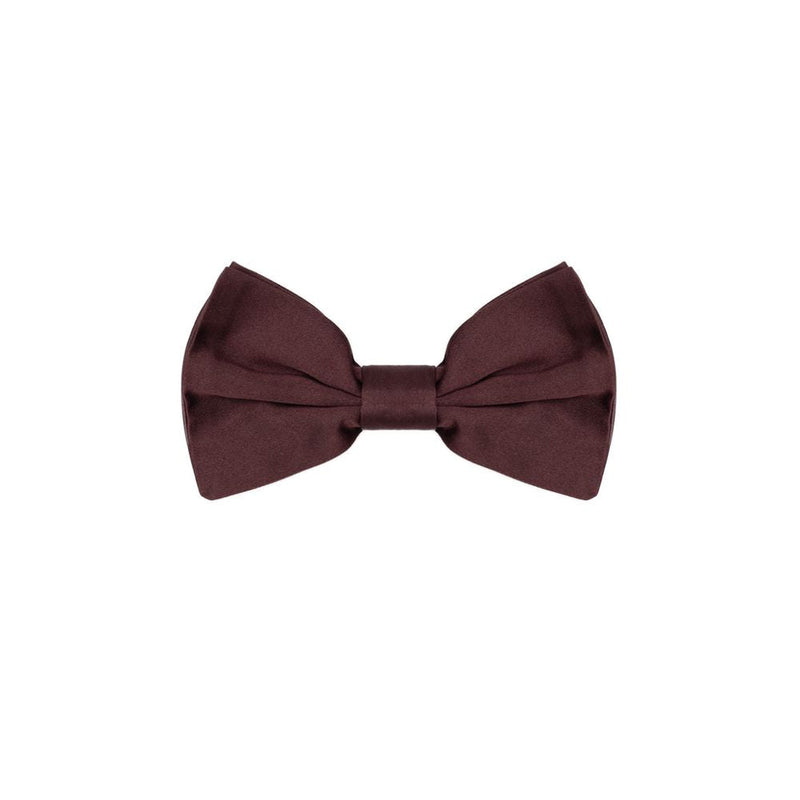 Burgundy Silk Ties & Bowty Dolce & Gabbana