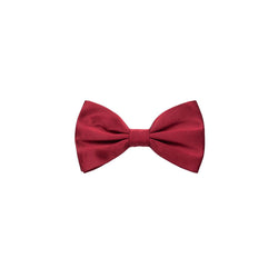 Red Silk Ties & Bowty Dolce & Gabbana