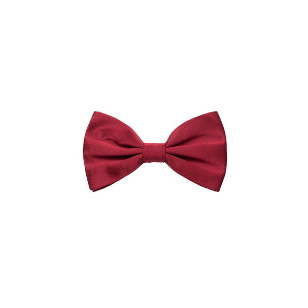 Red Silk Ties & Bowty Dolce & Gabbana