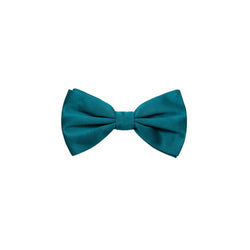 Green Silk Ties & Bowty Dolce & Gabbana