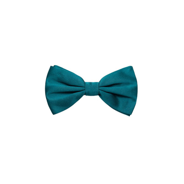 Green Silk Ties & Bowty Dolce & Gabbana
