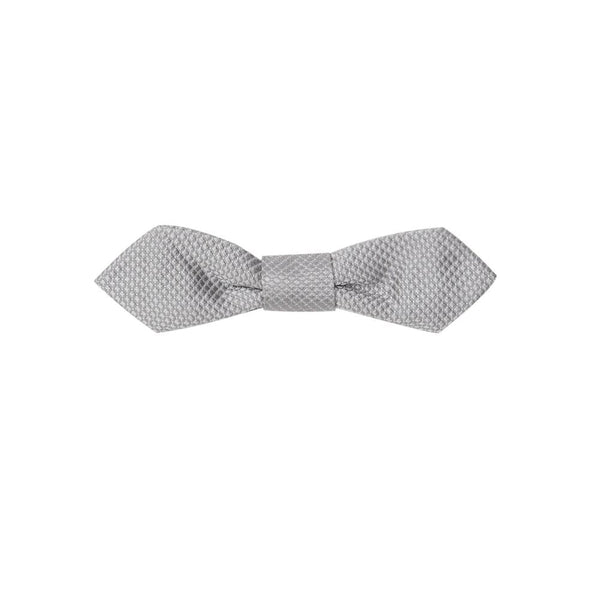 Silver Silk Ties & Bowty Dolce & Gabbana