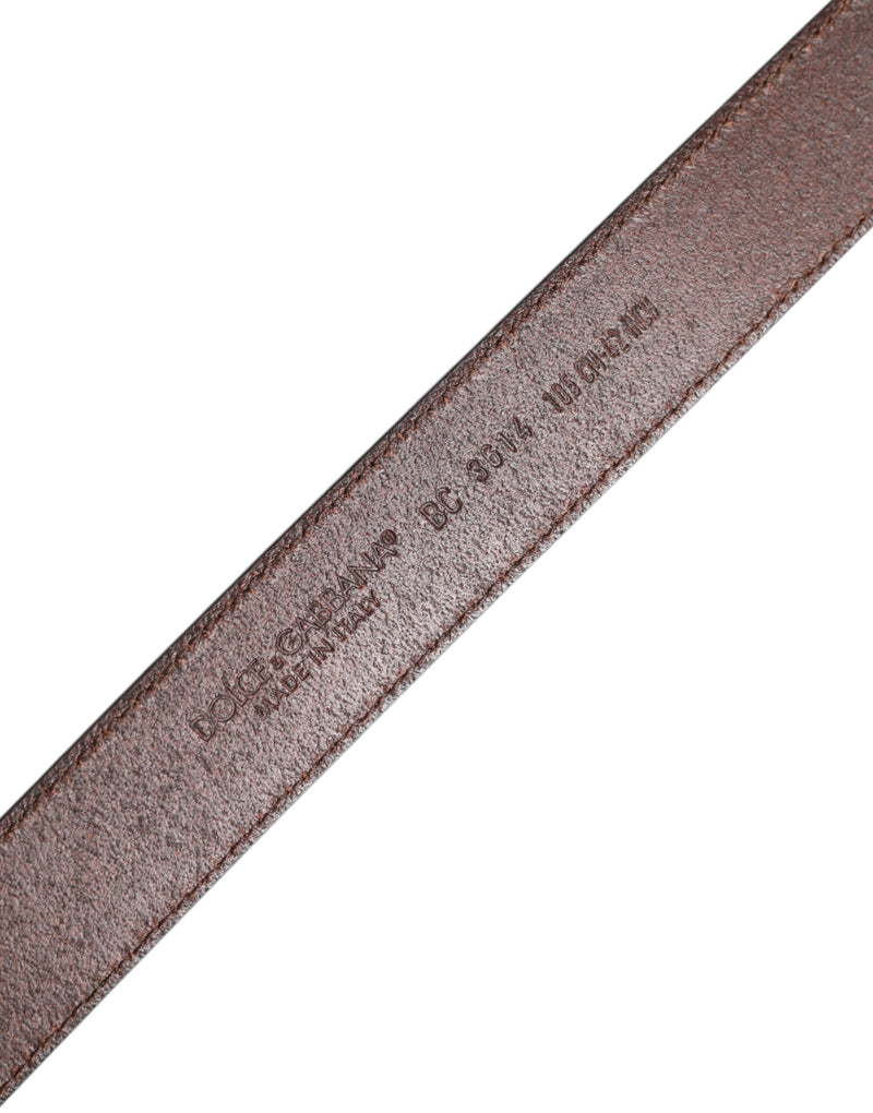 Brown Classic Calf Leather Metal Buckle Belt Dolce & Gabbana