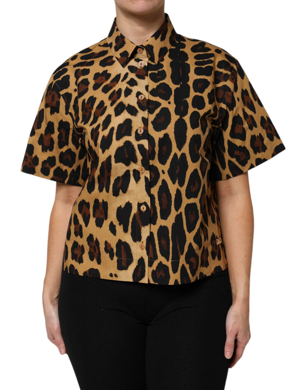 Brown Leopard Short Sleeve Collared Polo Top Dolce & Gabbana