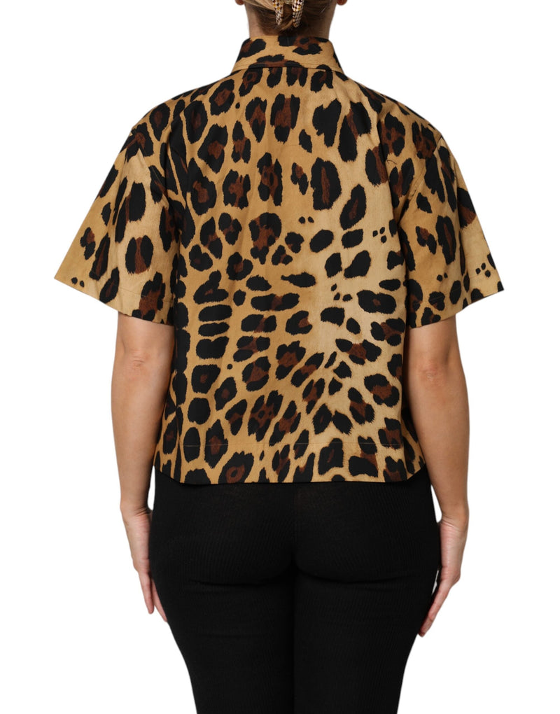 Brown Leopard Short Sleeve Collared Polo Top Dolce & Gabbana