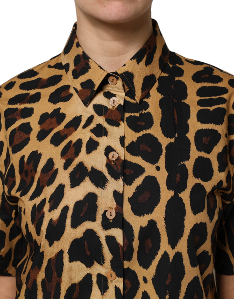 Brown Leopard Short Sleeve Collared Polo Top Dolce & Gabbana