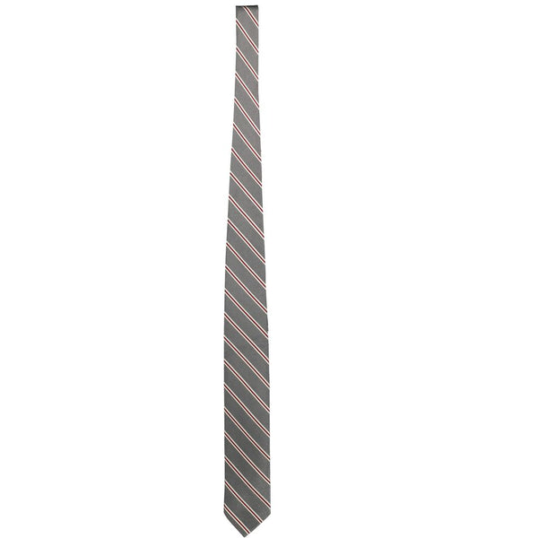 Gray Silk Ties & Bowty Gant