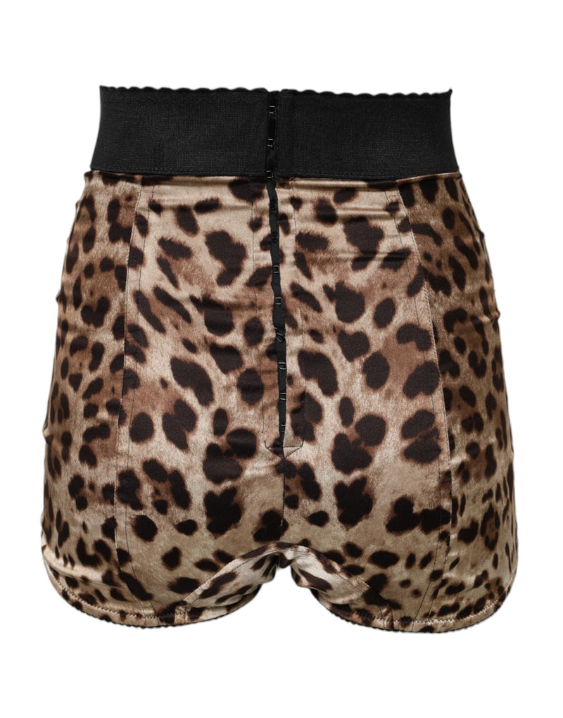 Brown Leopard High Waist Hot Pants Shorts Dolce & Gabbana