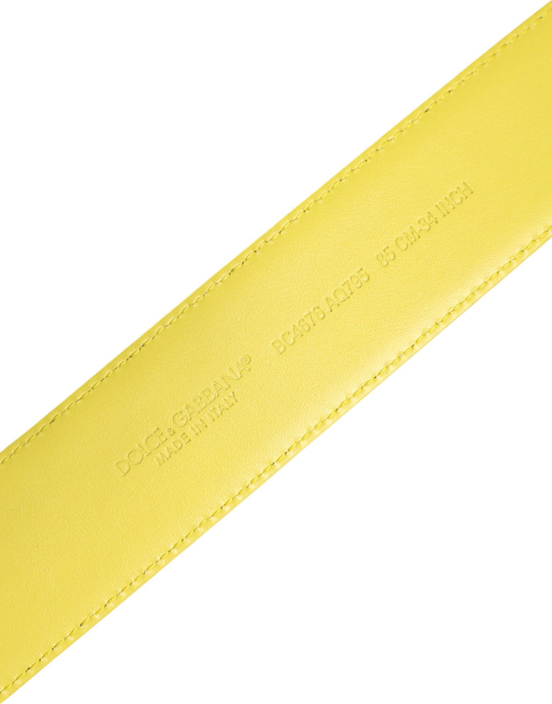 Yellow Green Classic Metal Logo Buckle Belt Dolce & Gabbana