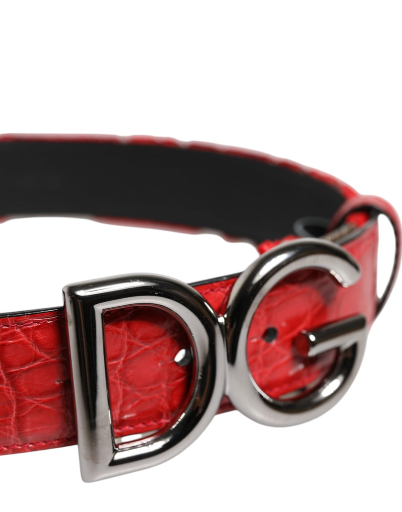 Red Viscose Silver DG Logo Metal Buckle Belt Dolce & Gabbana