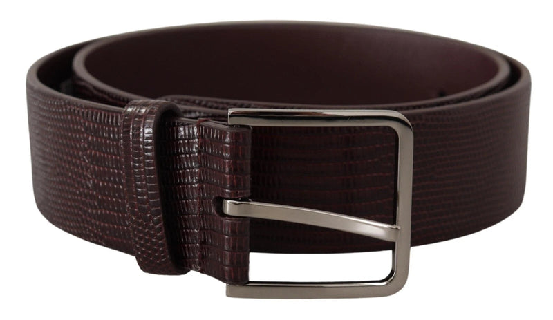 Dark Brown Calf Leather Silver Logo Metal Buckle Belt Dolce & Gabbana