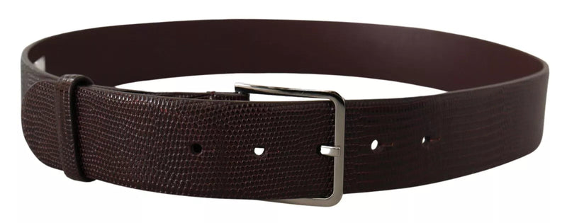 Dark Brown Calf Leather Silver Logo Metal Buckle Belt Dolce & Gabbana