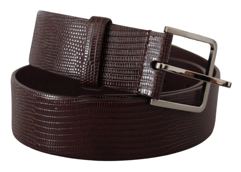Dark Brown Calf Leather Silver Logo Metal Buckle Belt Dolce & Gabbana