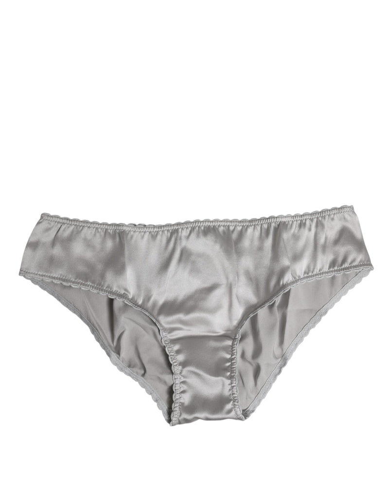 Gray Silk Stretch Bottom Low Waist Panty Underwear Dolce & Gabbana