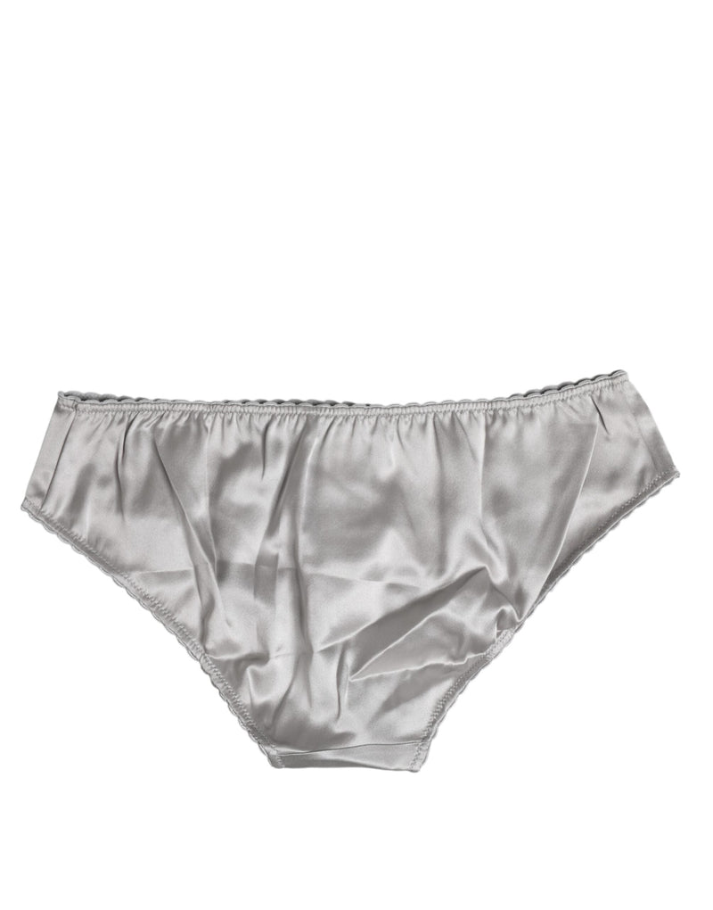 Gray Silk Stretch Bottom Low Waist Panty Underwear Dolce & Gabbana