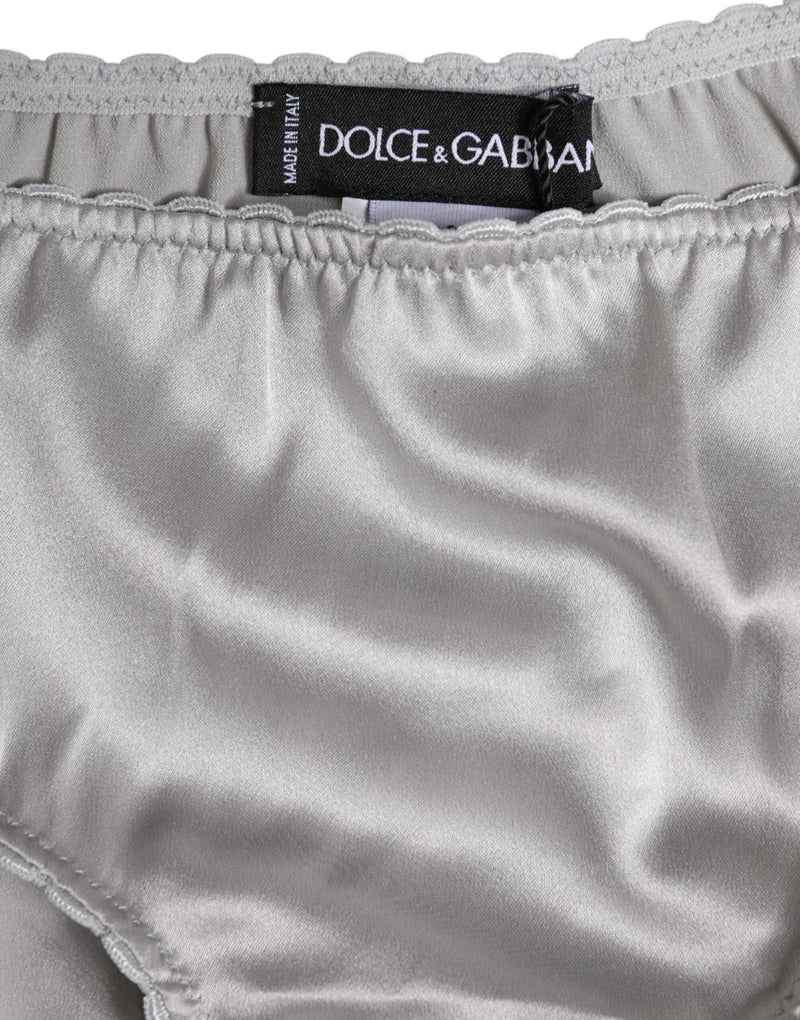 Gray Silk Stretch Bottom Low Waist Panty Underwear Dolce & Gabbana