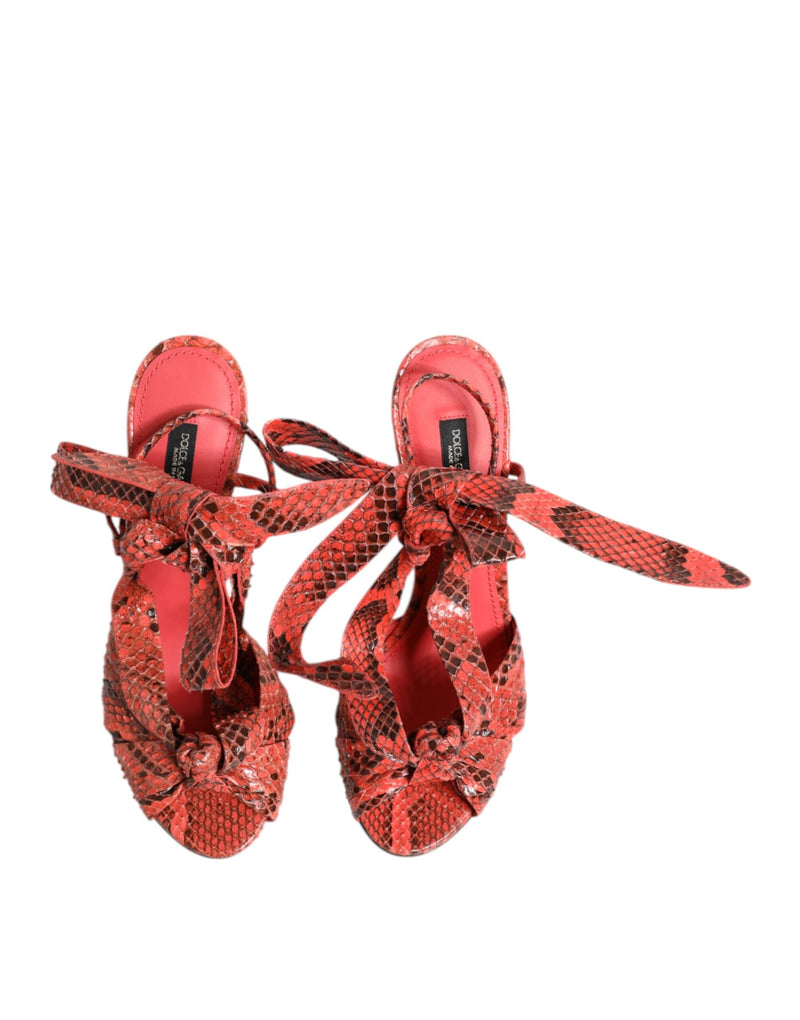 Coral Python Leather Heels Sandals Shoes Dolce & Gabbana