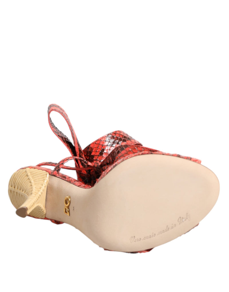 Coral Python Leather Heels Sandals Shoes Dolce & Gabbana
