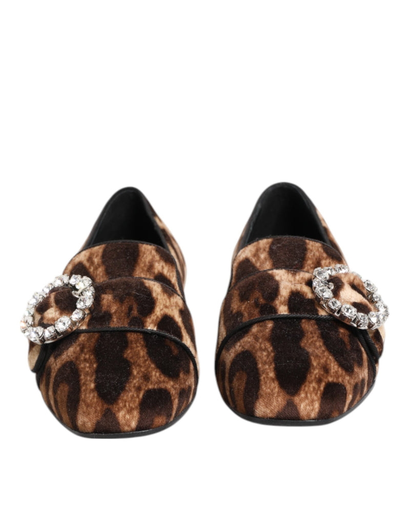 Brown Leopard Print Crystals Loafers Flats Shoes Dolce & Gabbana
