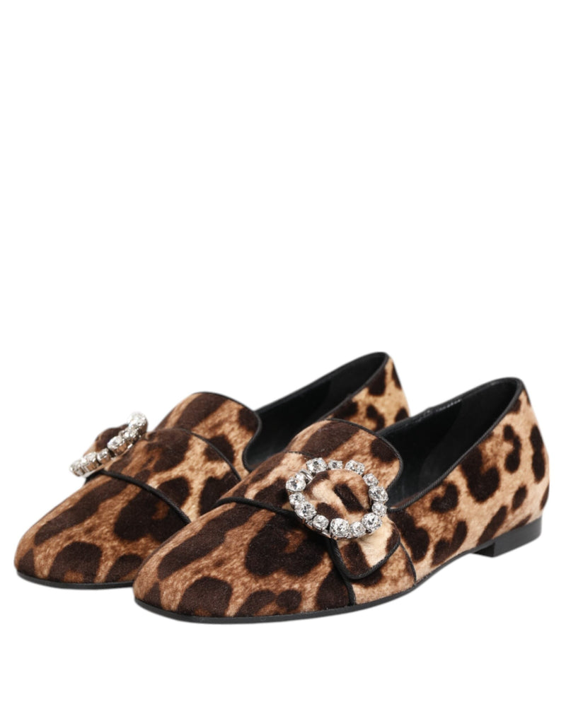 Brown Leopard Print Crystals Loafers Flats Shoes Dolce & Gabbana