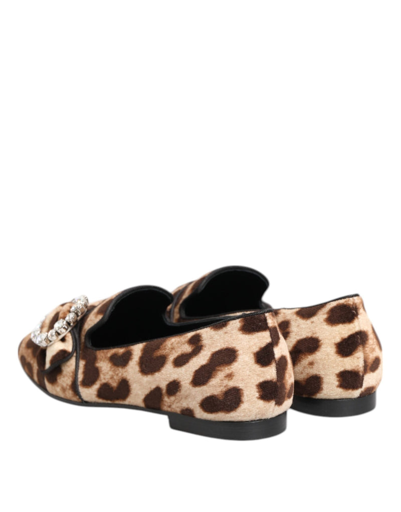 Brown Leopard Print Crystals Loafers Flats Shoes Dolce & Gabbana