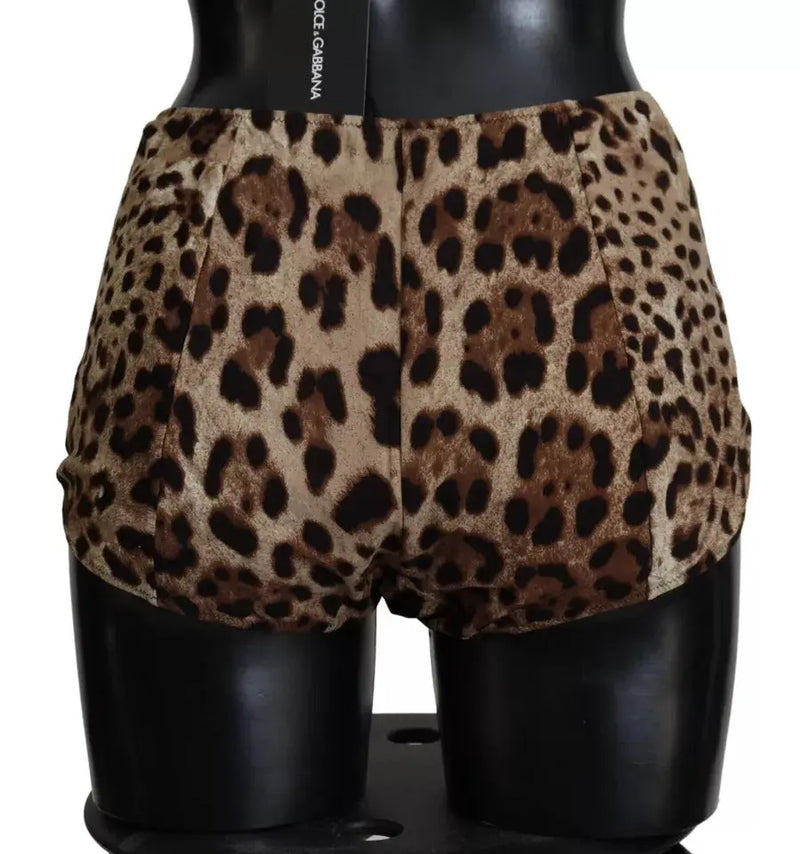 Brown Leopard Print Swimsuit Swimwear Bikini Bottom Dolce & Gabbana