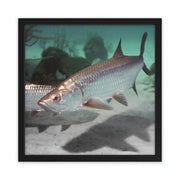 Tarpon Cruising Printify