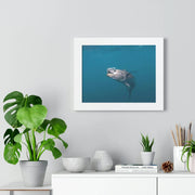 Tuna Art Under Water Printify